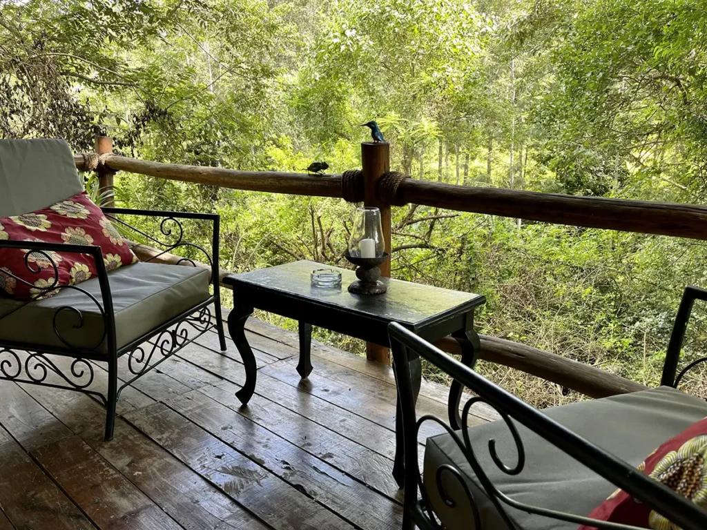 African View Lodge, tree top tent terrace