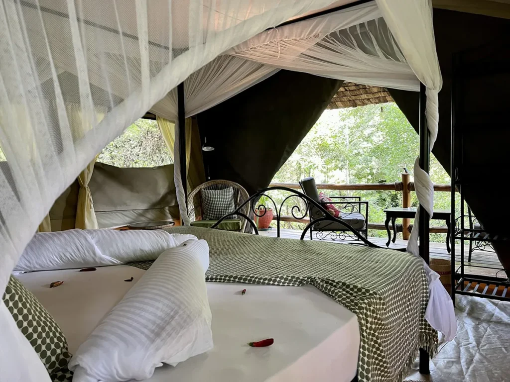African View Lodge, tree top tent