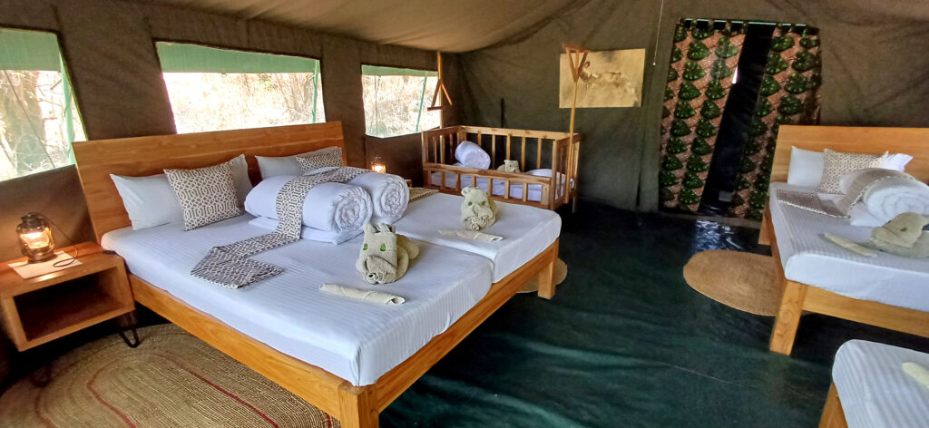 Mkomazi View Camp