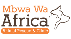Mbwa wa Africa Mbwa wa Africa