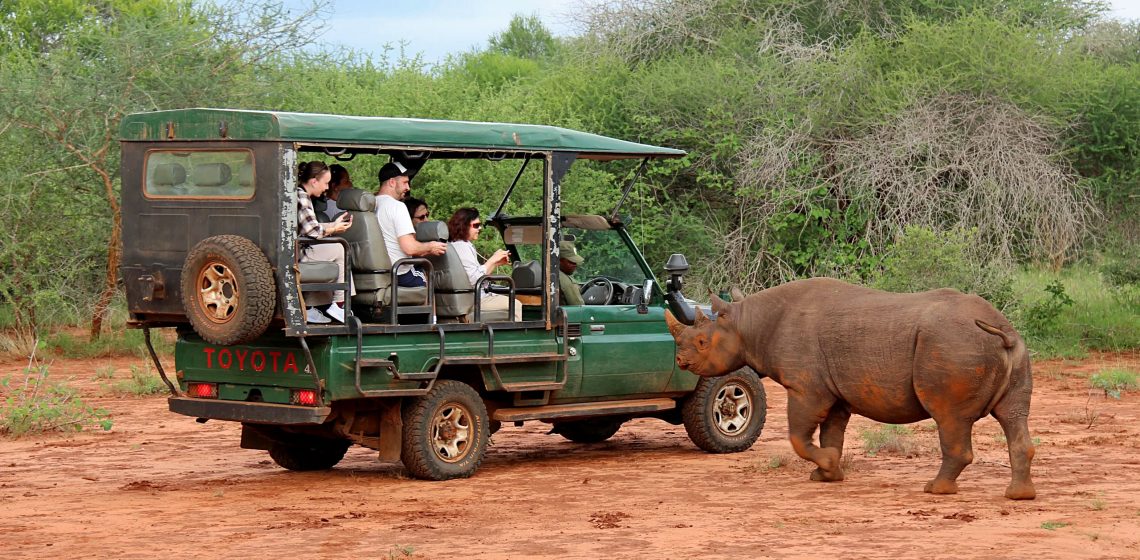 Game drive in Rhino Sanctuary, Mkomazi National Park