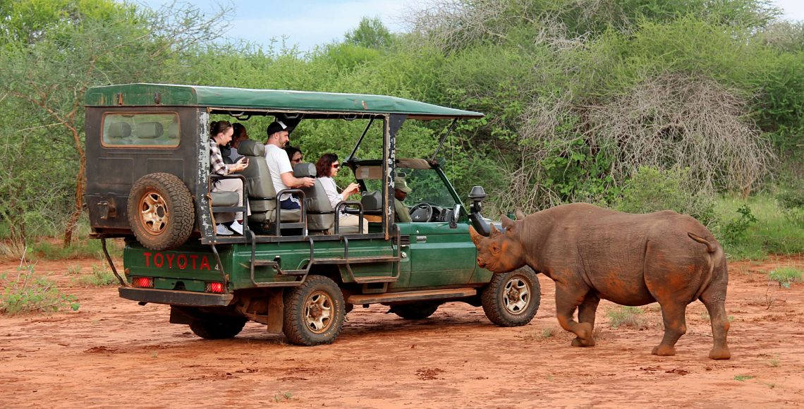Game drive in Rhino Sanctuary, Mkomazi National Park