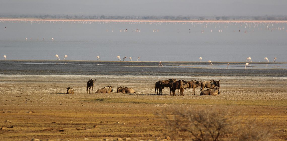 Lake Manyara National Park