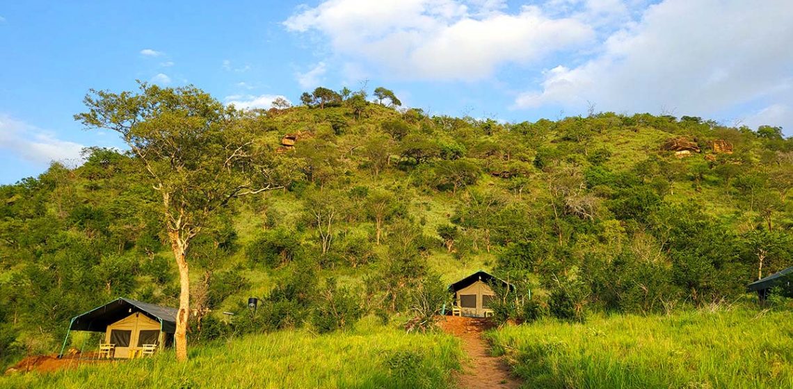 Mkomazi View Camp