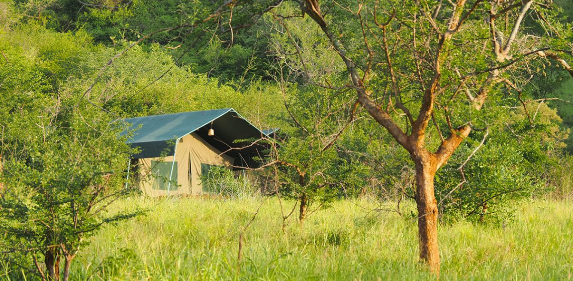 Mkomazi View Camp