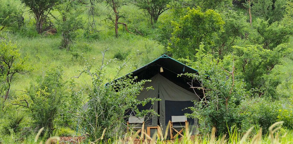 Mkomazi View Camp