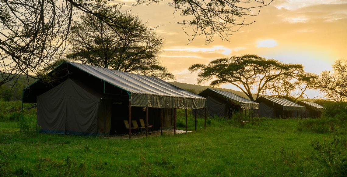 Serengeti View Camp - Rongai (south)