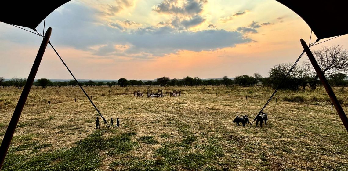 Serengeti View Camp - Togoro (north)