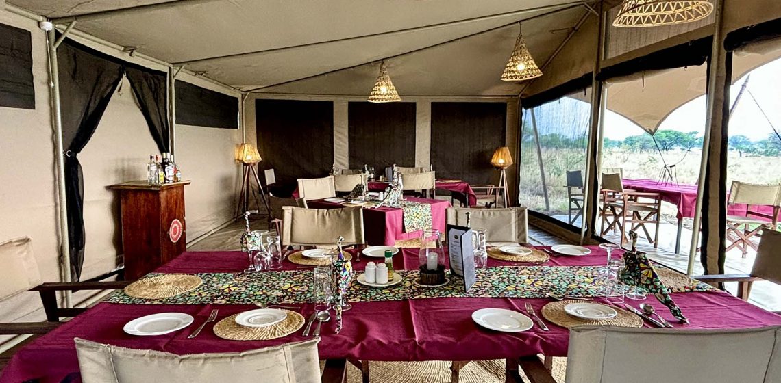 Serengeti View Camp - Togoro (north)