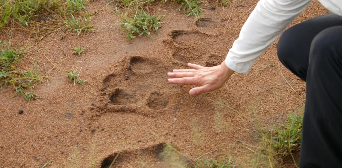 Walking safari in Serengeti National Park