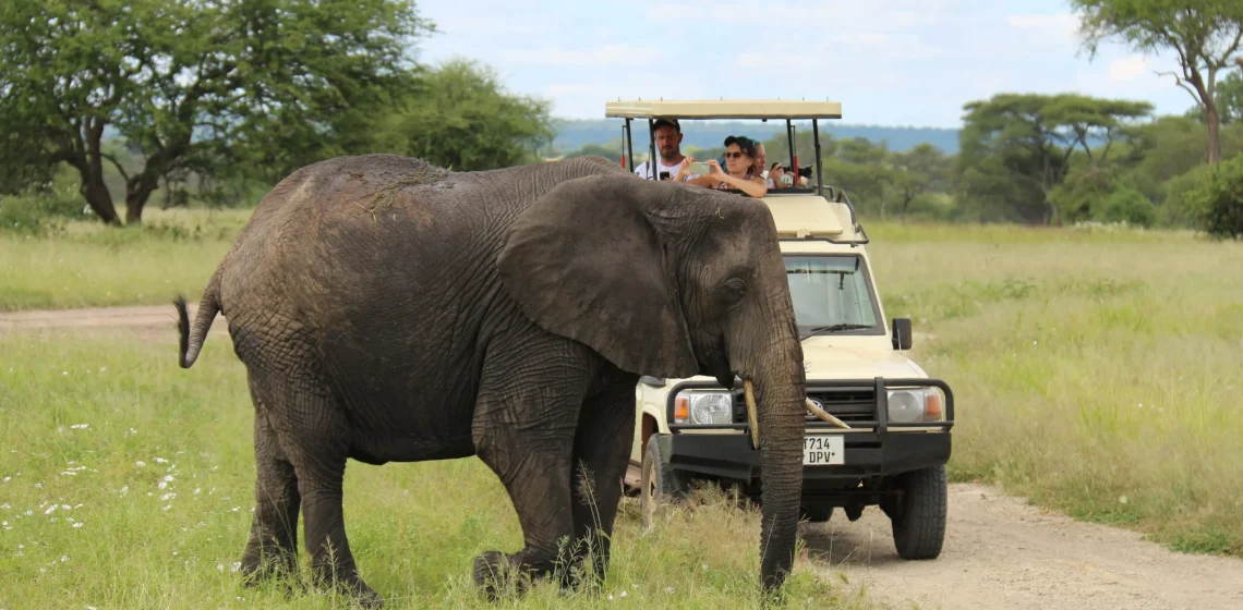 Game drive in Tarangire National Park