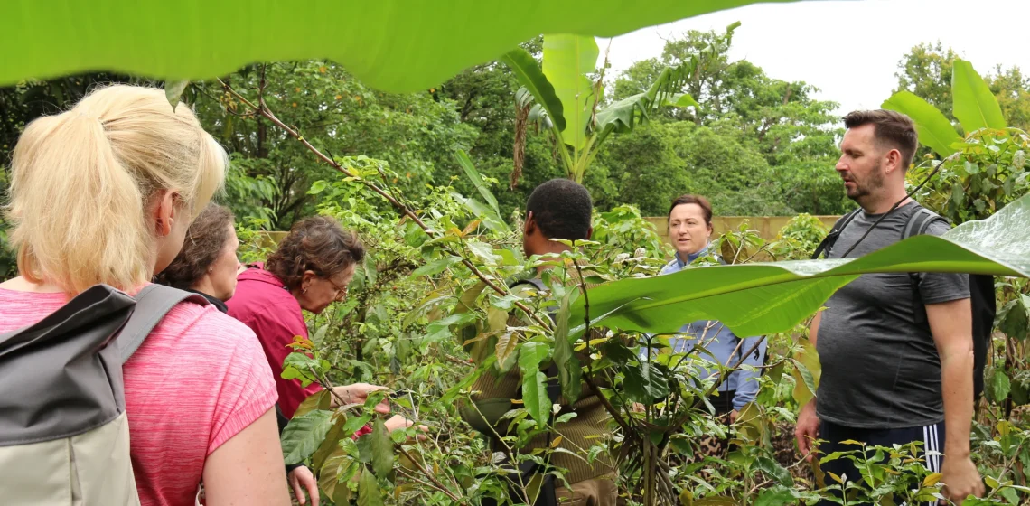 Visit of a local farm