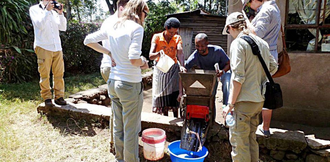 Visit of a local farm