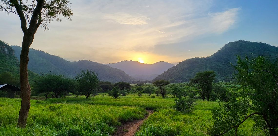 Mkomazi View Camp