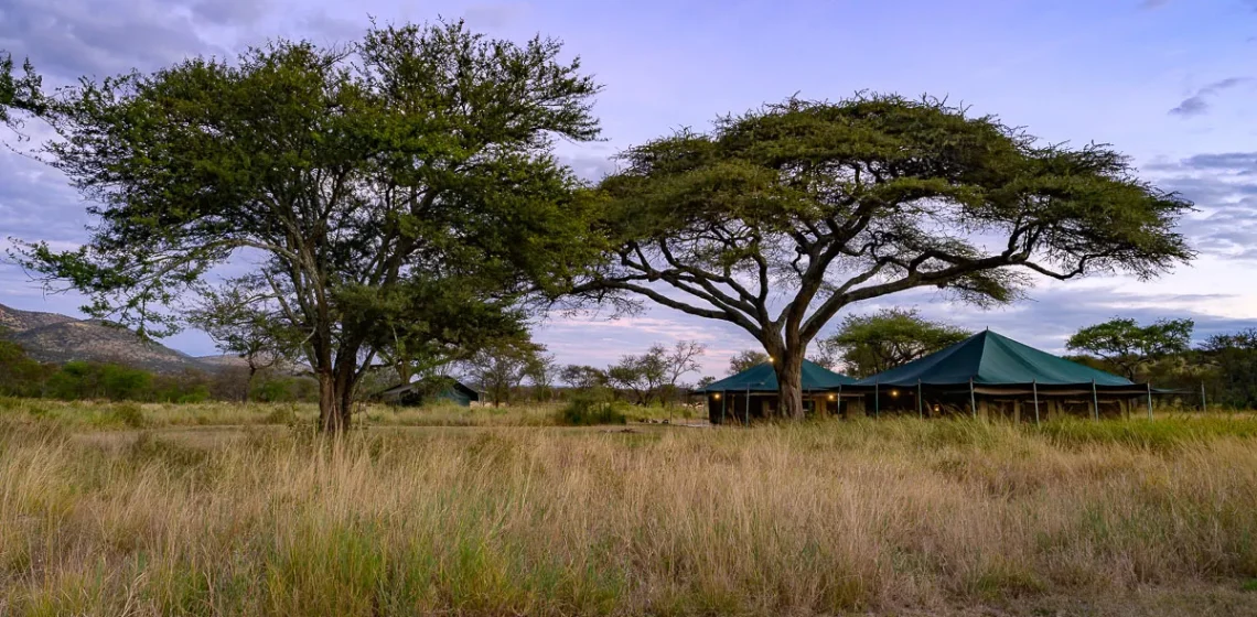 Serengeti View Camp -, Rongai (south)