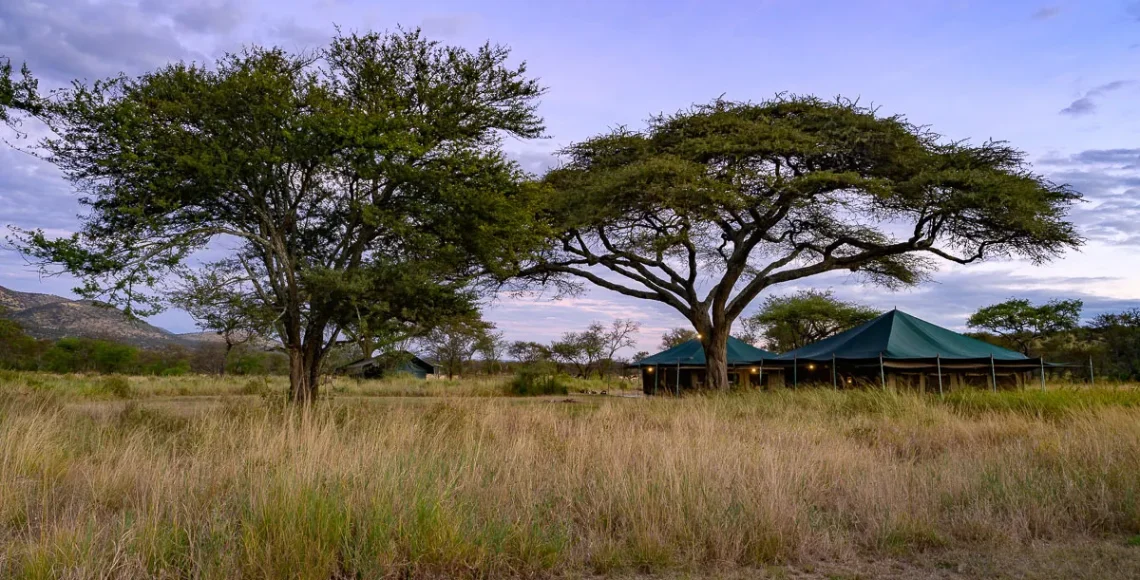 Serengeti View Camp -, Rongai (south)