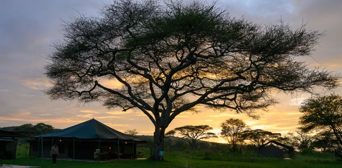 Serengeti View Camp -, Rongai (south)